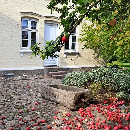 Seven Bedroom Holiday In Holiday home *